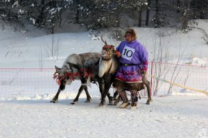 конкурс профессионального мастерства среди оленеводов Югры на кубок Губернатора
