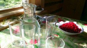 Вкусные ягодки и берёзовый сок - такое угощение было предложено Наталье Комаровой на Международных соревнованиях на Кубок Губернатора Югры по гребле на обласах. А Геннадий Бухтин рассказал о том, что можно вкусного попробовать в Югре.