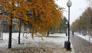 Бело-золотая осень Югры