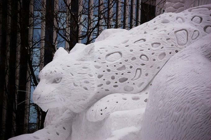 Снежный барс. В принципе, логично