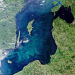 Балтийское море летом. Цветные разводы на поверхности моря - сине-зеленые водоросли