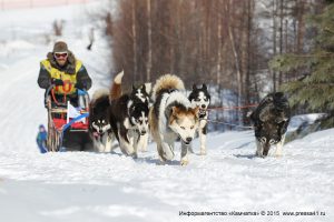 Каюрам предстоит преодолеть тысячу километров по тайге и тундре до села Оссора Карагинского района