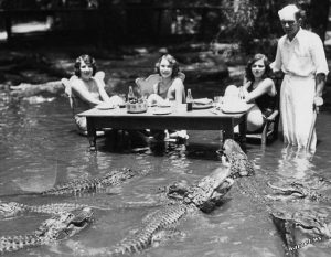 крокодилы, экстрим, пикник, риск